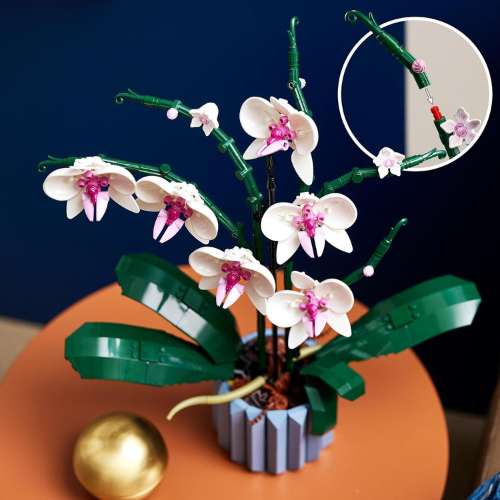 Set de construction florale décorative – Orchidée d’intérieur (608 pièces)