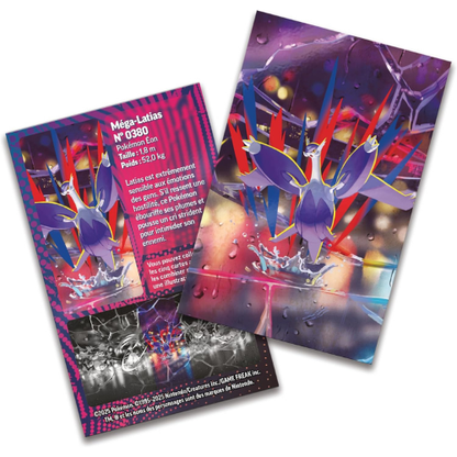 Coffret Mini Tin Collectible – Coffret Métal Premium avec Carte Surprise et Deux Boosters