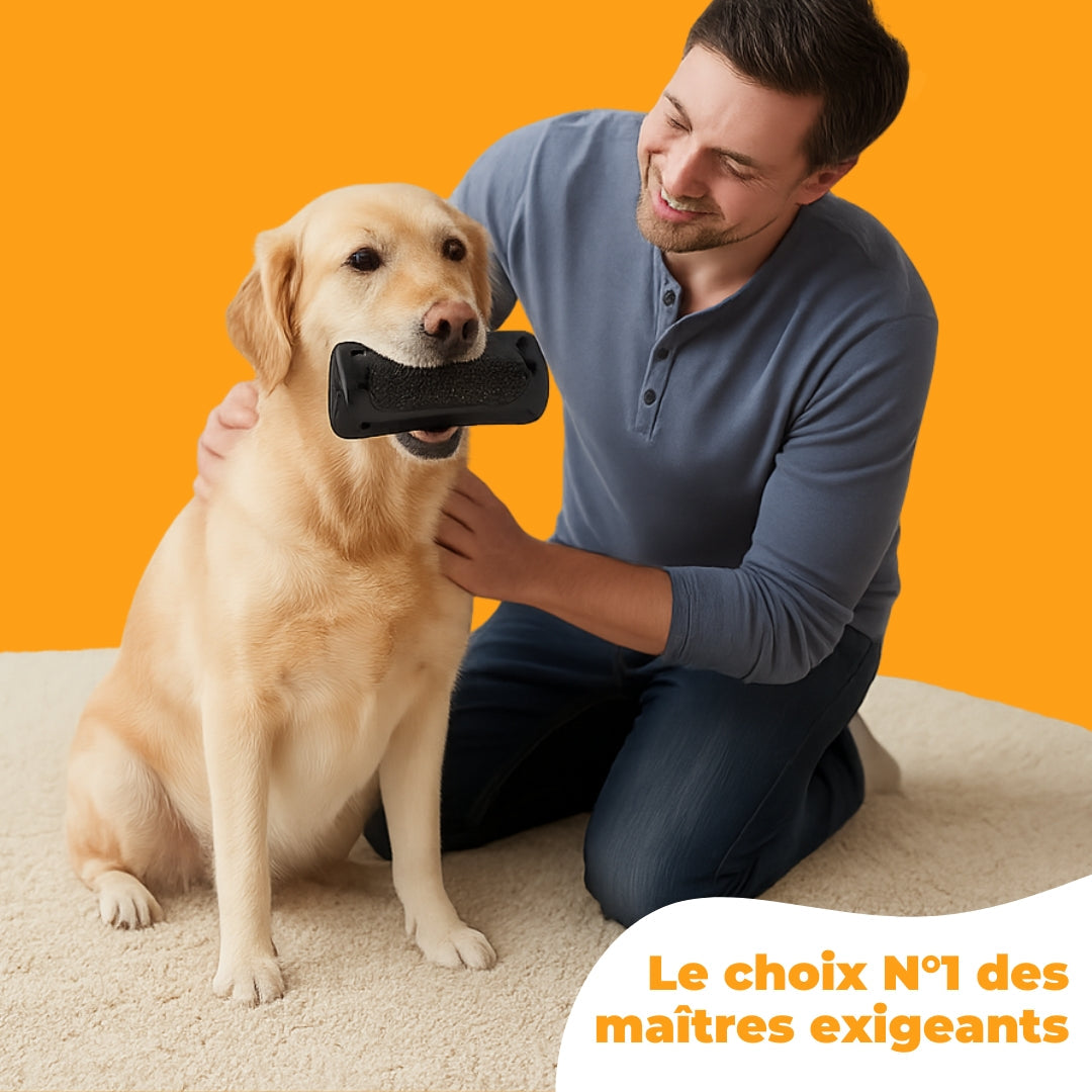 Brosse pour chien
