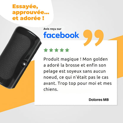 Brosse pour chien