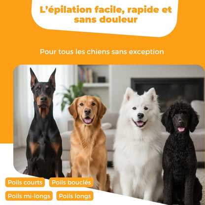 Brosse pour chien