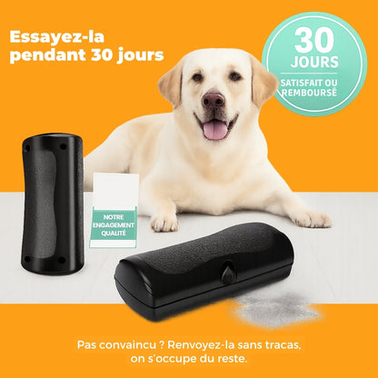 Brosse pour chien